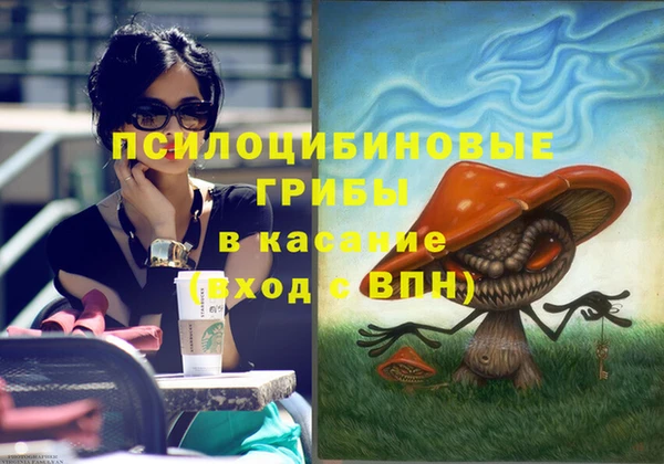 прущие грибы Богородск