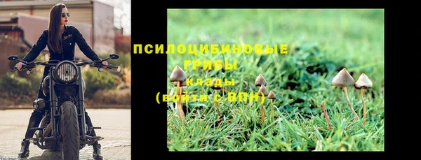 прущие грибы Богородск