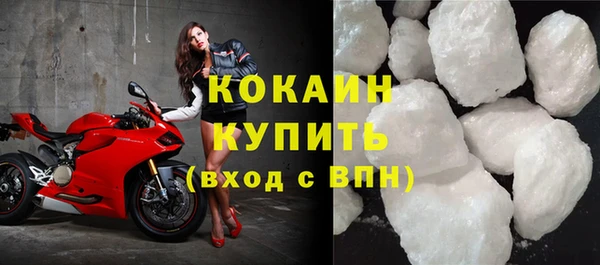 прущие грибы Богородск