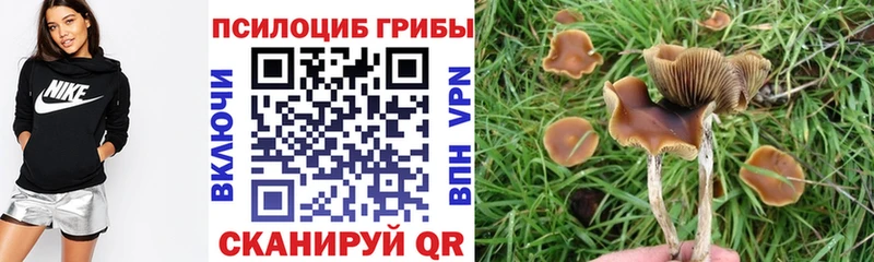 Галлюциногенные грибы GOLDEN TEACHER  Реутов 